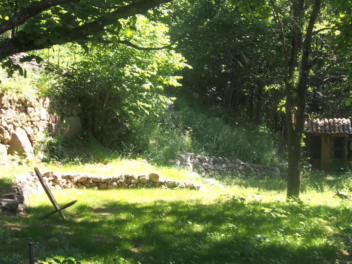 Grande Tente Tipi En Pleine Foret Burzet Eksteriør billede